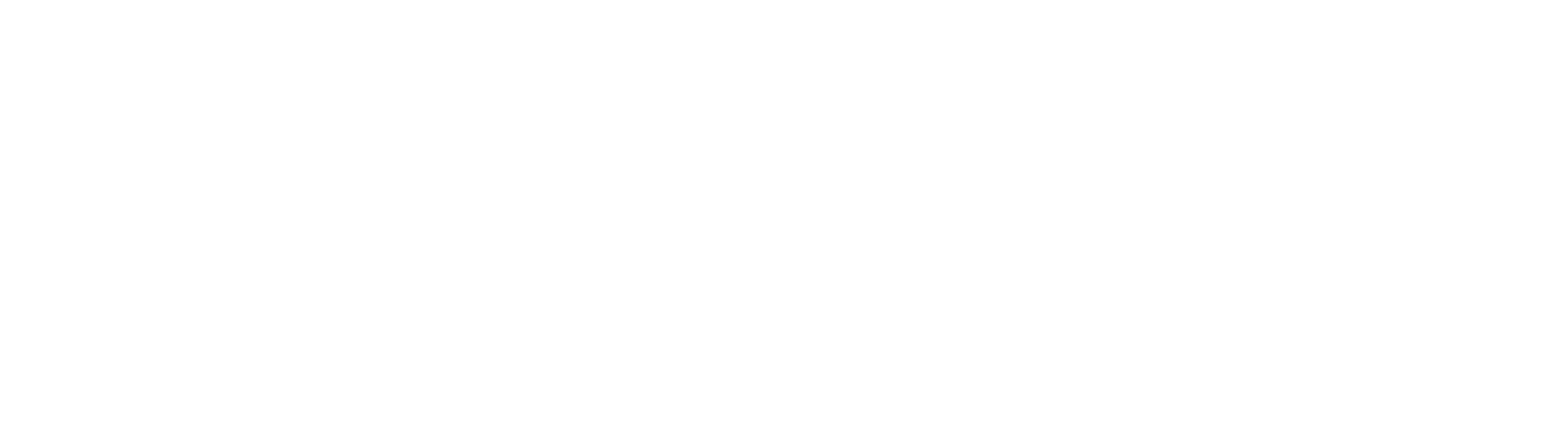 Chislehurst Plumbing & Heating Logo
